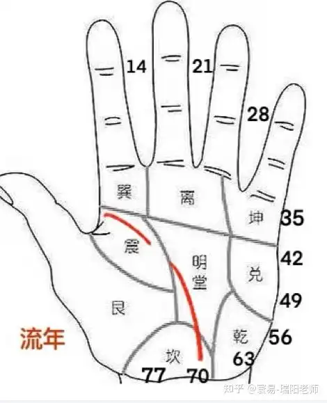 窥探生命线的秘密