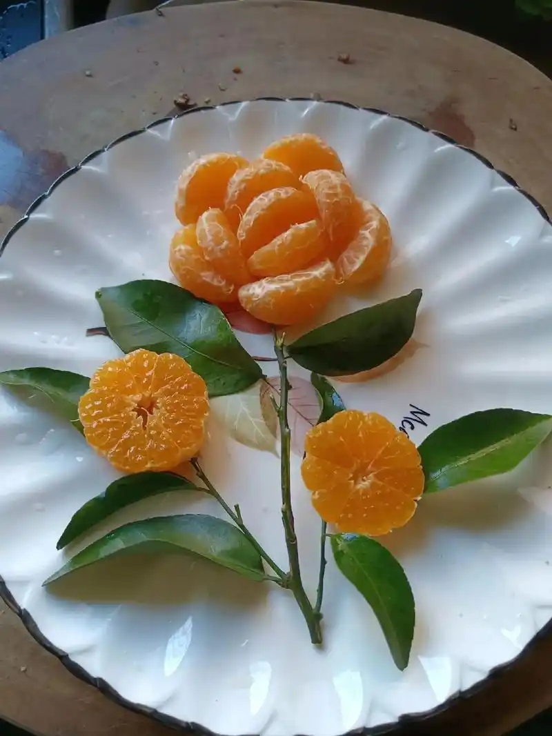 小厨娘上线 #蔬菜摆盘简单做法 #简单盘饰 #摆盘技巧 瞎 - 抖音