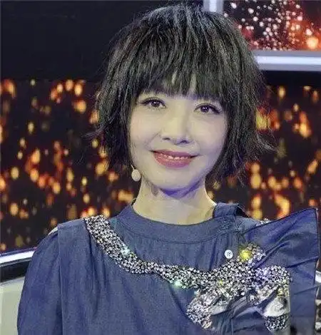 鲁豫发型短发 一改往日造型减龄20岁