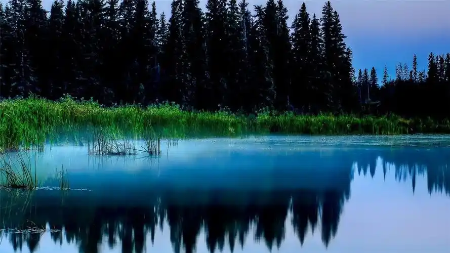 高清护眼自然唯美风景壁纸