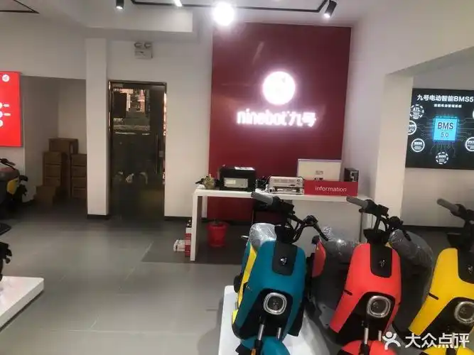 九号电动车(芦庄旗舰店)图片