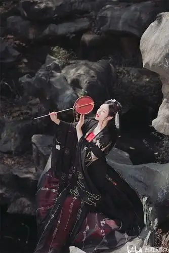 唯美汉服古装:黑色凤凌云