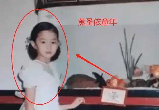 她儿时的照片,也常常是外界一直称赞的一个从小美到大的姑娘,小时候的