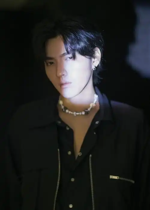 简介:吴亦凡时尚酷黑写真图片,分享一组吴亦凡图片给大家,图中的明星