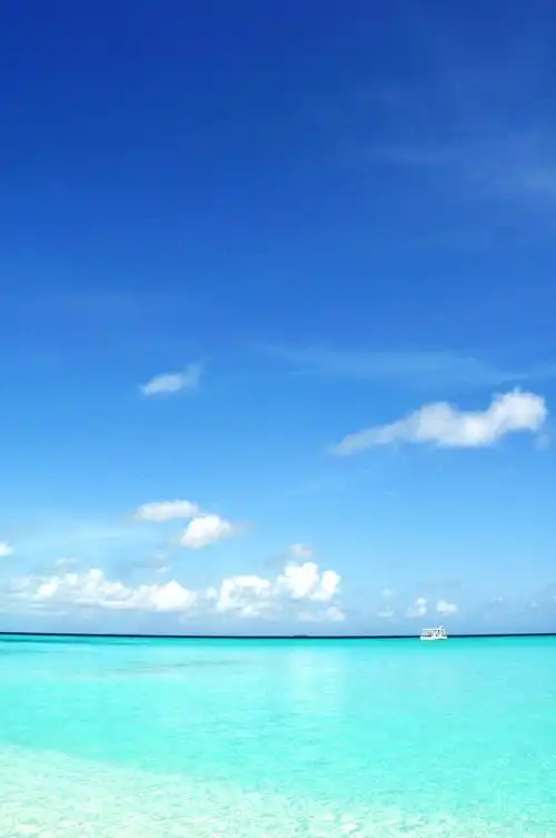 第四窝:马尔代夫