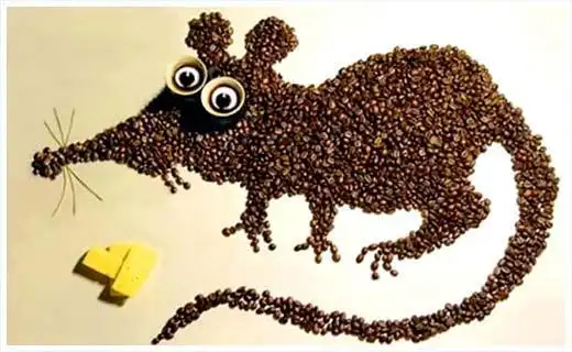 可爱的动物创意拼贴画咖啡豆拼贴艺术