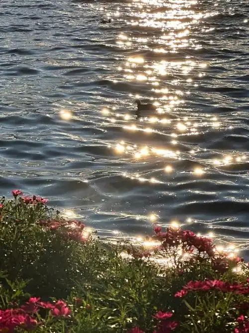 朋友圈背景图##文案##朋友圈分享##朋友圈文案##旅游