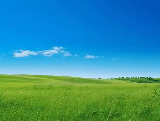 蓝天草原天空蓝色天空背景自然风景壁纸清新电脑壁纸美丽的大自然