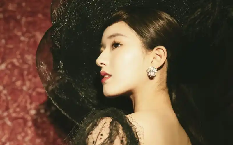 赵露思优雅复古写真图片桌面壁纸高清大图预览1920x1200_大陆明星下载