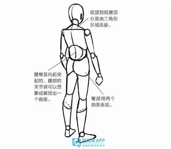 人体怎么画漫画人体结构绘画入门