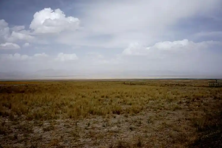 行走在柴达木盆地