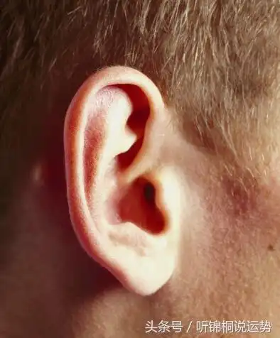 耳朵的形状决定,你是家财万贯还是一贫如洗