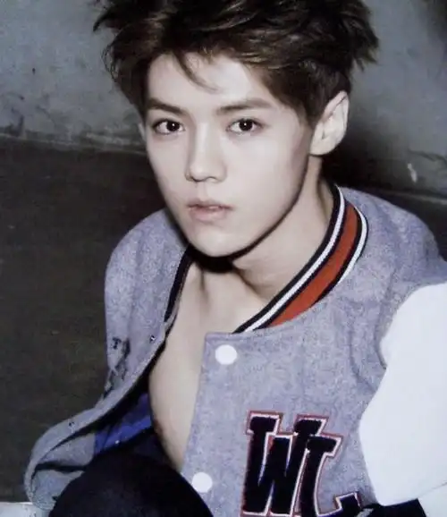 郭敬明《幻城》或搬上荧幕 杨幂鹿晗皆出演