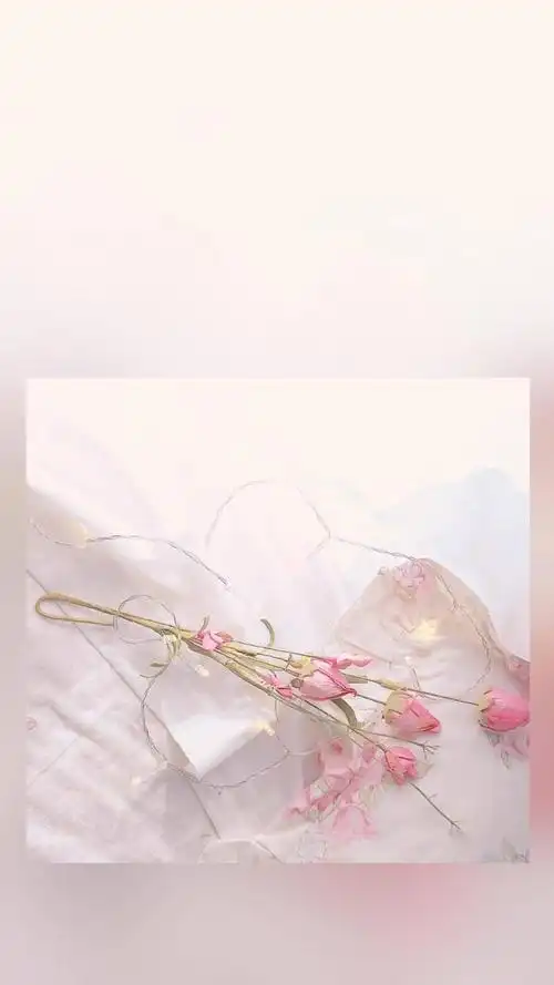 本文关键词:ins少女心壁纸,背景图ins 少女心,ins风可爱壁纸少女心