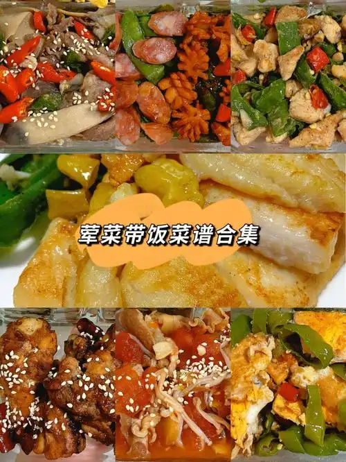 上班带饭菜单荤菜类家常菜菜谱合集2