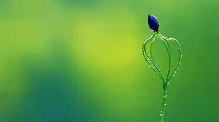 熬过100日,四大生肖存款翻十番,财神爷登门做客,财富不请