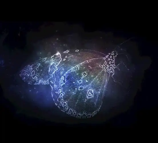 梦幻图片唯美星空蝴蝶