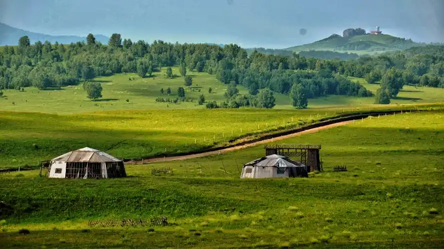风景优美,翠绿的草原,蓝蓝的天空,幽静的白桦林,与散落在辽阔草原上