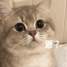 这波动态表情包贼喜欢