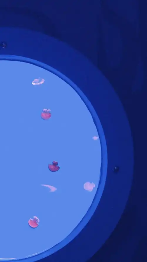 炎热的夏天最喜欢清清凉凉的蓝色啦