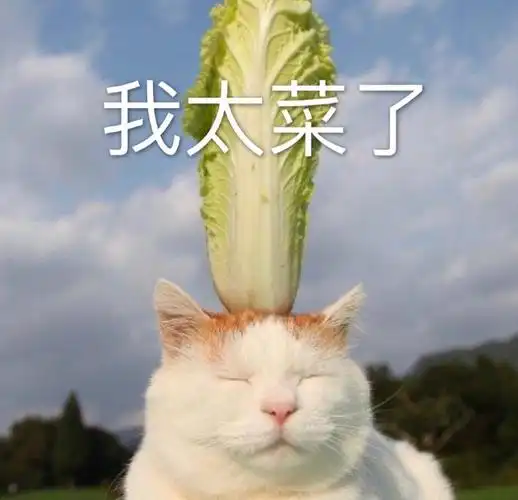 萌宠猫星人我太菜了不想看搞怪逗gif动图_动态图_表情包下载_soogif