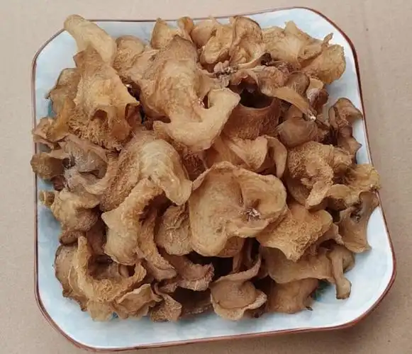 云南土特产沙木耳干货羊肚耳沙耳珍珠菌大片白木耳干菌菇类【图片