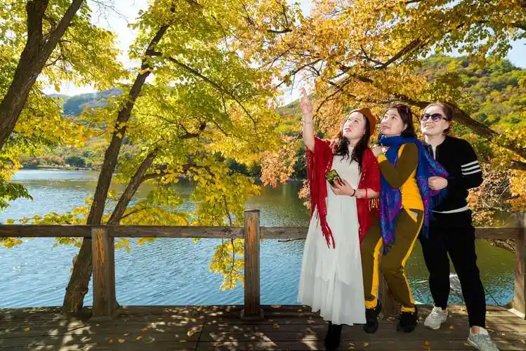 其它 醉美的秋天 都说金秋十月,风景最美,和几个朋友相约去辽宁的本溪