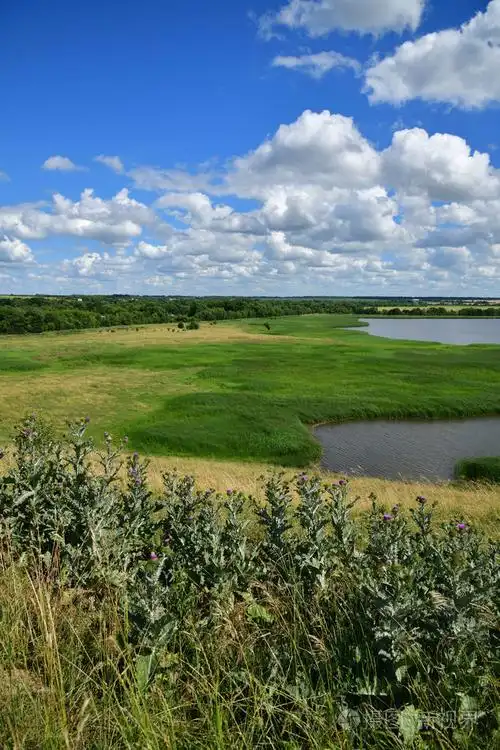 美丽的夏天乡村风景与湖
