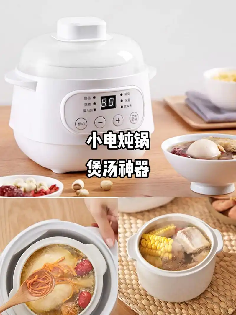 抖音图文来了 小电炖锅燕窝炖盅煲汤锅煮粥神器家用隔水炖盅# - 抖音