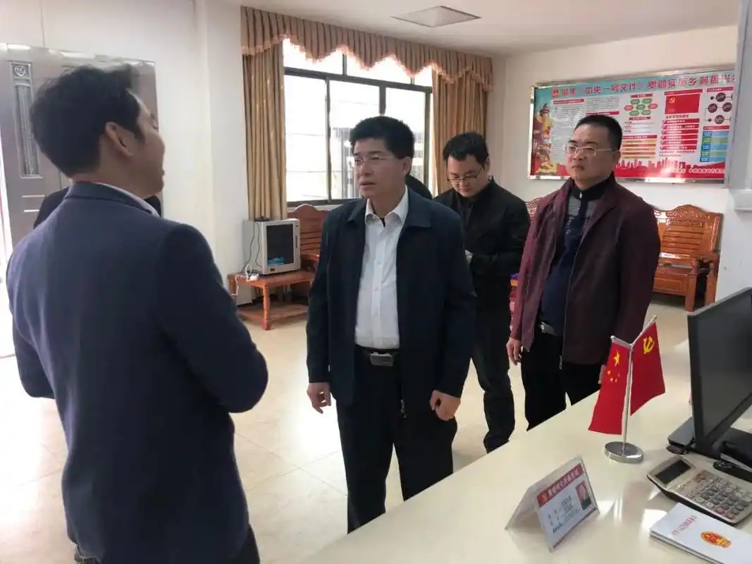 黄海生对丰稔,佗城两镇扎实推进乡村振兴工作及取得的成效给予充分