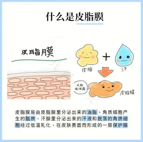 皮肤屏障受损关键脸上最宝贵一层膜皮脂膜