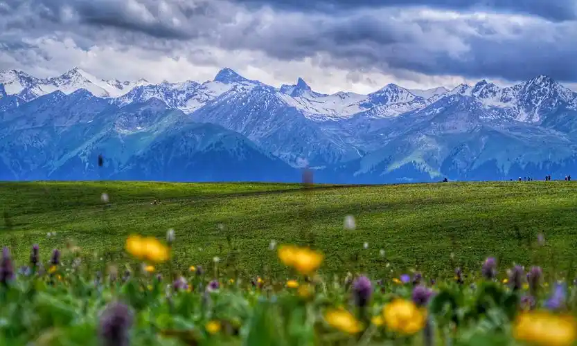 大美新疆之环天山行