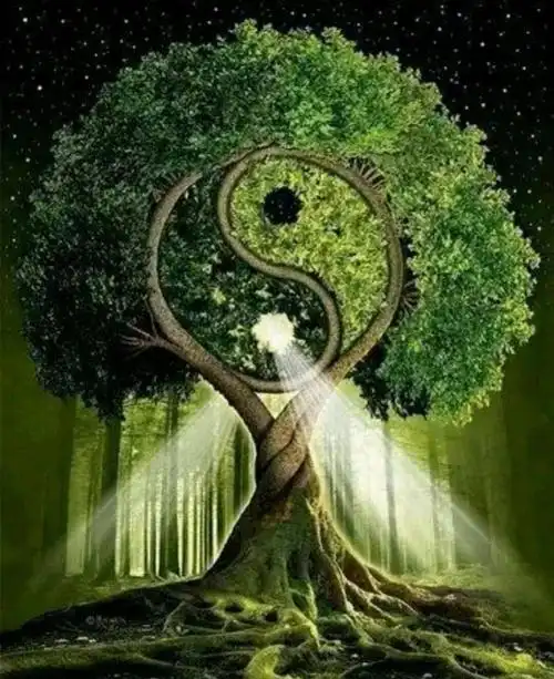 对人体生命科学也有重要的启示作用,本文仅仅是从肌肉层面论述了太极