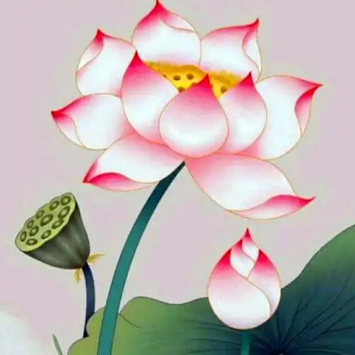 佛系图片头像禅意荷花 独一无二的佛系莲花图片微信头像_微信头像