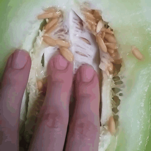 小孩子不要乱看,眼睛会瞎的,不能再污了-搞笑频道-手机搜狐