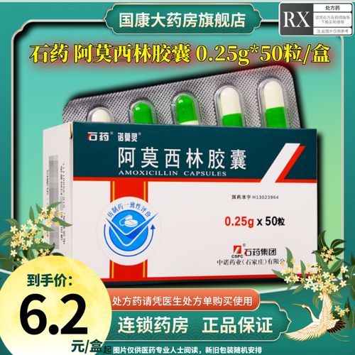 石药 阿莫西林胶囊 0.