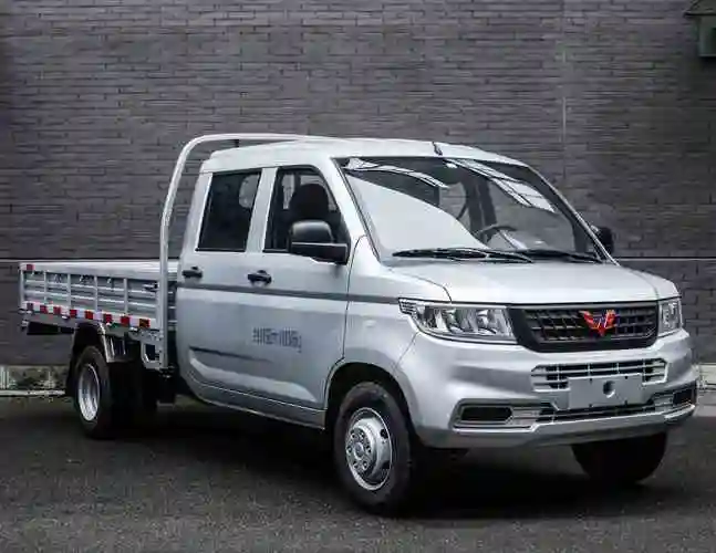 五菱牌lzw1030sltwb双排座载货汽车