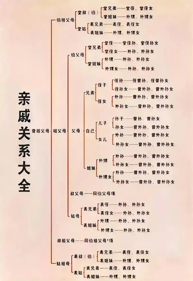 终于有人把亲戚关系讲清楚了.看完之后,我觉得真的非常惊艳.