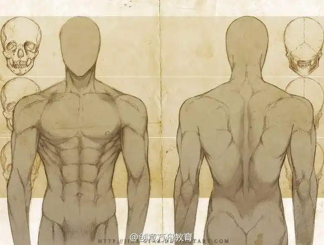 jinx-star 的男性人体结构练习,多数是躯干. 来自创意方舟 - 微博