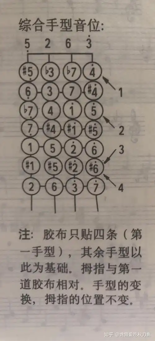 小提琴三个升号e弦a弦为什么二三指要并在一起