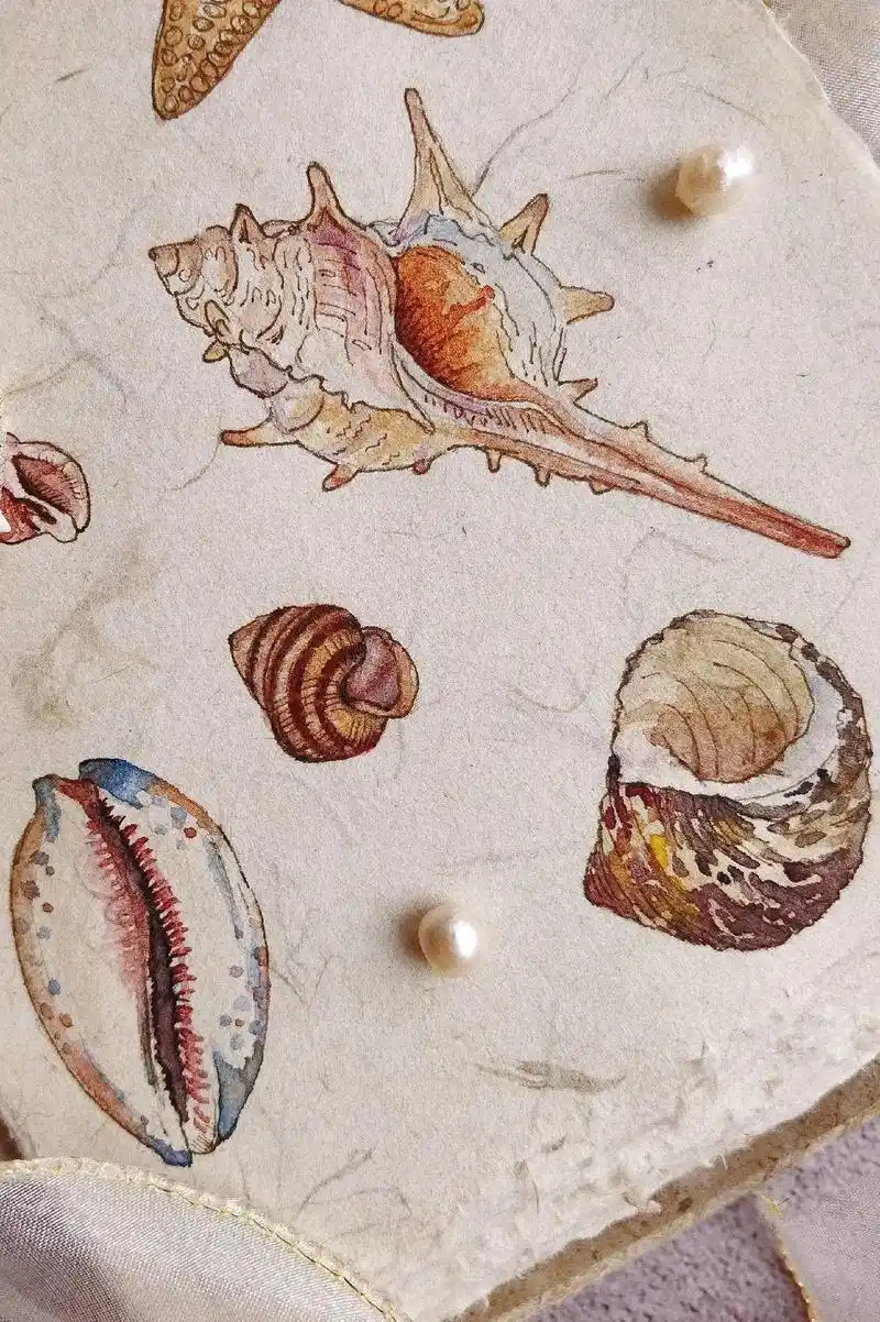 水彩打卡,小小的平凡贝壳也有它的美丽.滴滴滴打卡  小小的平 - 抖音