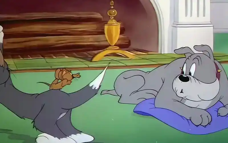 防止抑郁"斯派克你俩最好别睡觉 #猫和老鼠 #治愈系 #经典动漫 #汤姆