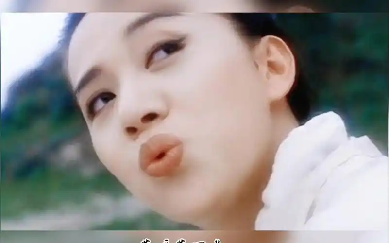 【梅艳芳72叶童72仙鹤神针72翡翠娃娃】