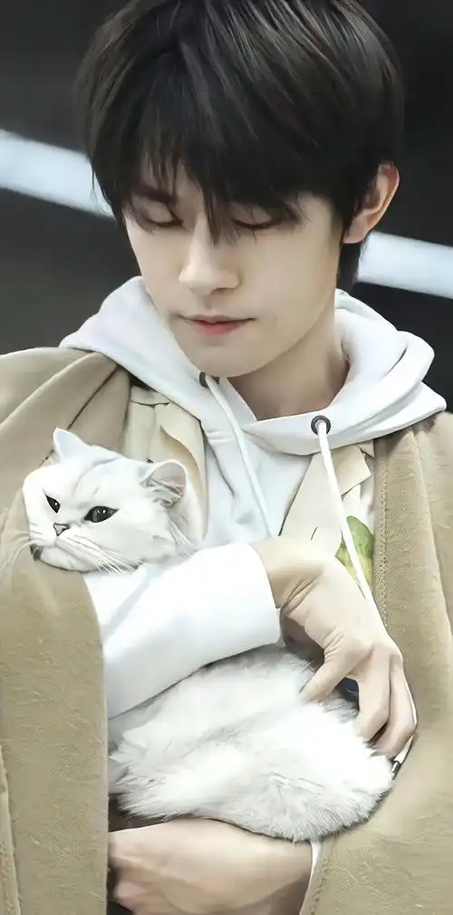 易烊千玺新壁纸呀需要的自取哦