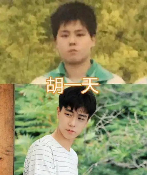 从前有多胖,现在有多帅!胡一天邢昭林没啥,任嘉伦真不敢认
