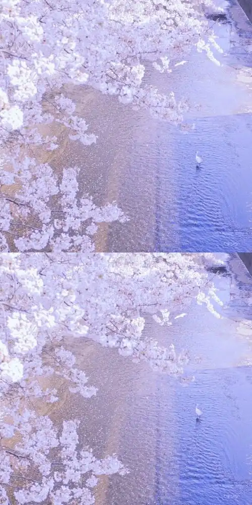 分享一波意境壁纸背景图