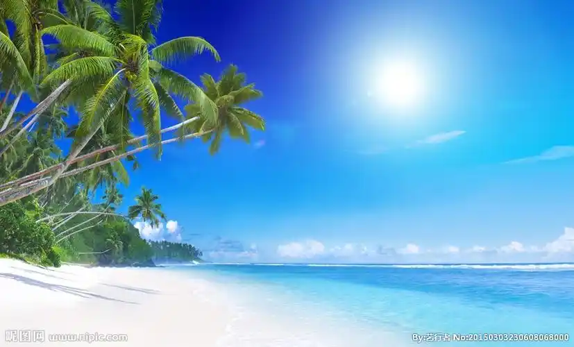 阳光沙滩摄影图__自然风景_自然景观_摄影图库_昵图网nipic.com