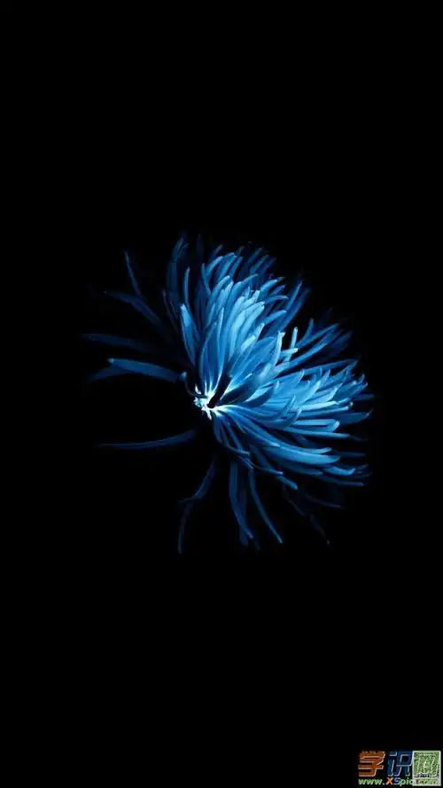 竖屏黑色壁纸高清图片