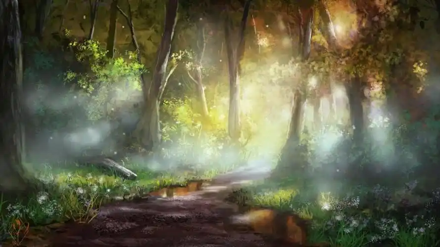 小清新森林美景手绘插画,高清壁纸,风景图片-回车桌面