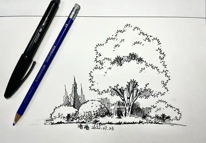 景观风景园林手绘植物组团分享